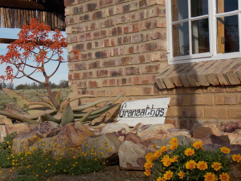 Wolvekraal Guest Farm Villa Prince Albert Luaran gambar
